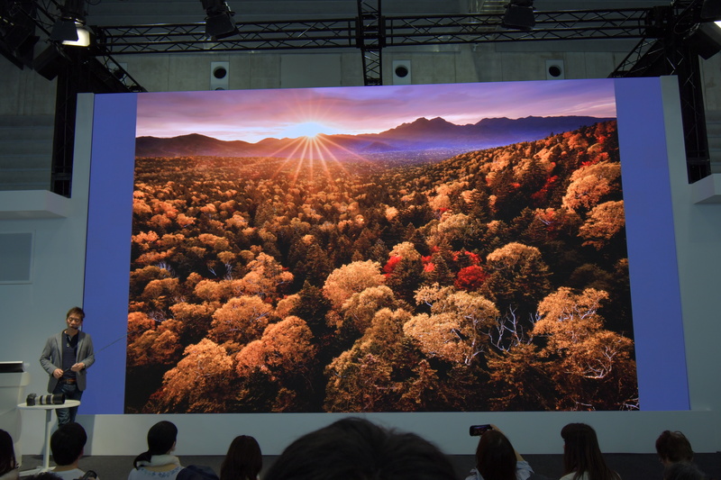 2017年の紅葉は、例年にない美しさだったようだ。