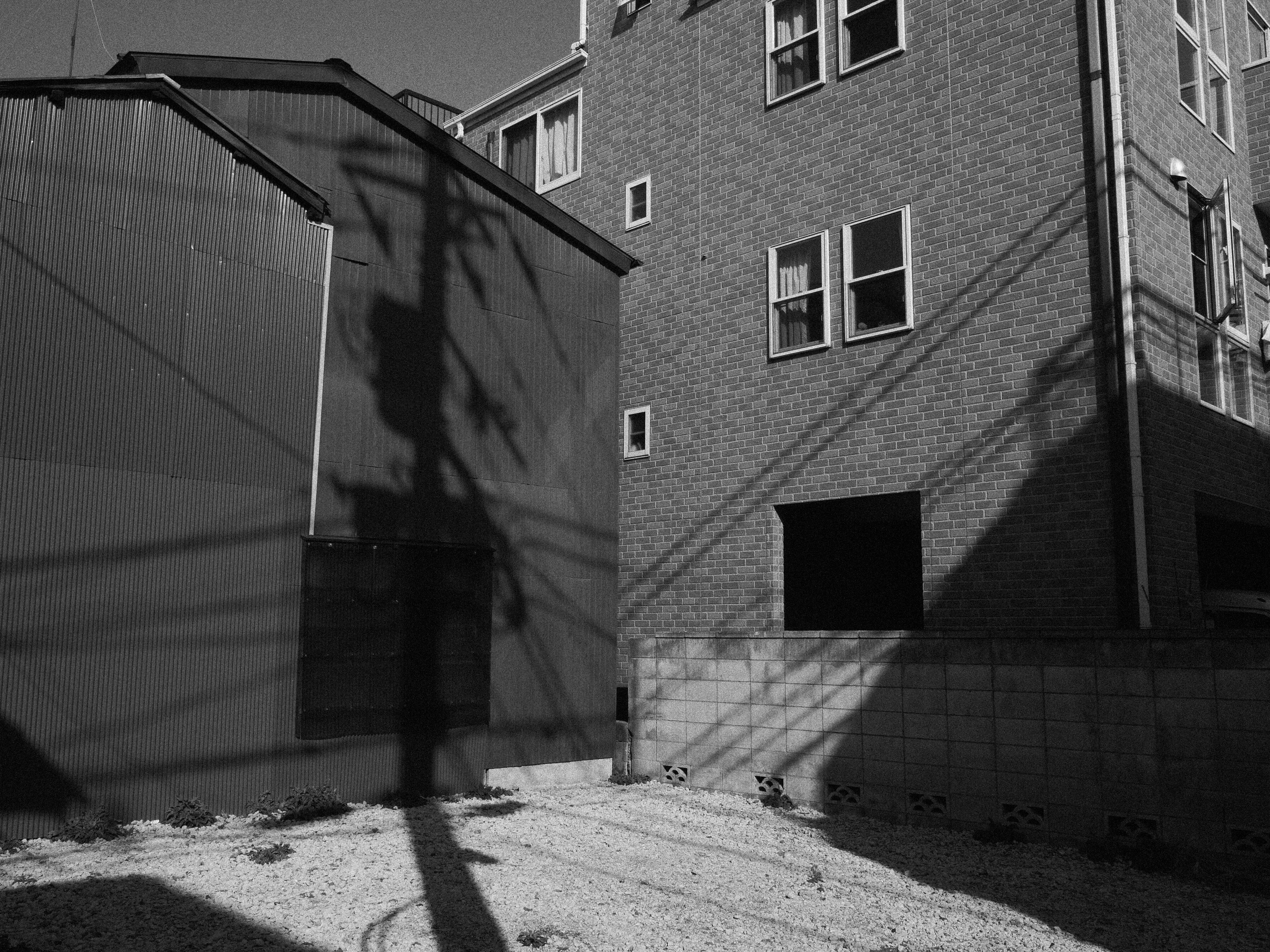 LUMIX GX7 Mark III / LEICA DG SUMMILUX 15mm / F1.7 ASPH. / 1/500秒 / F8 / 0EV / ISO 200 / 絞り優先AE / 15mm