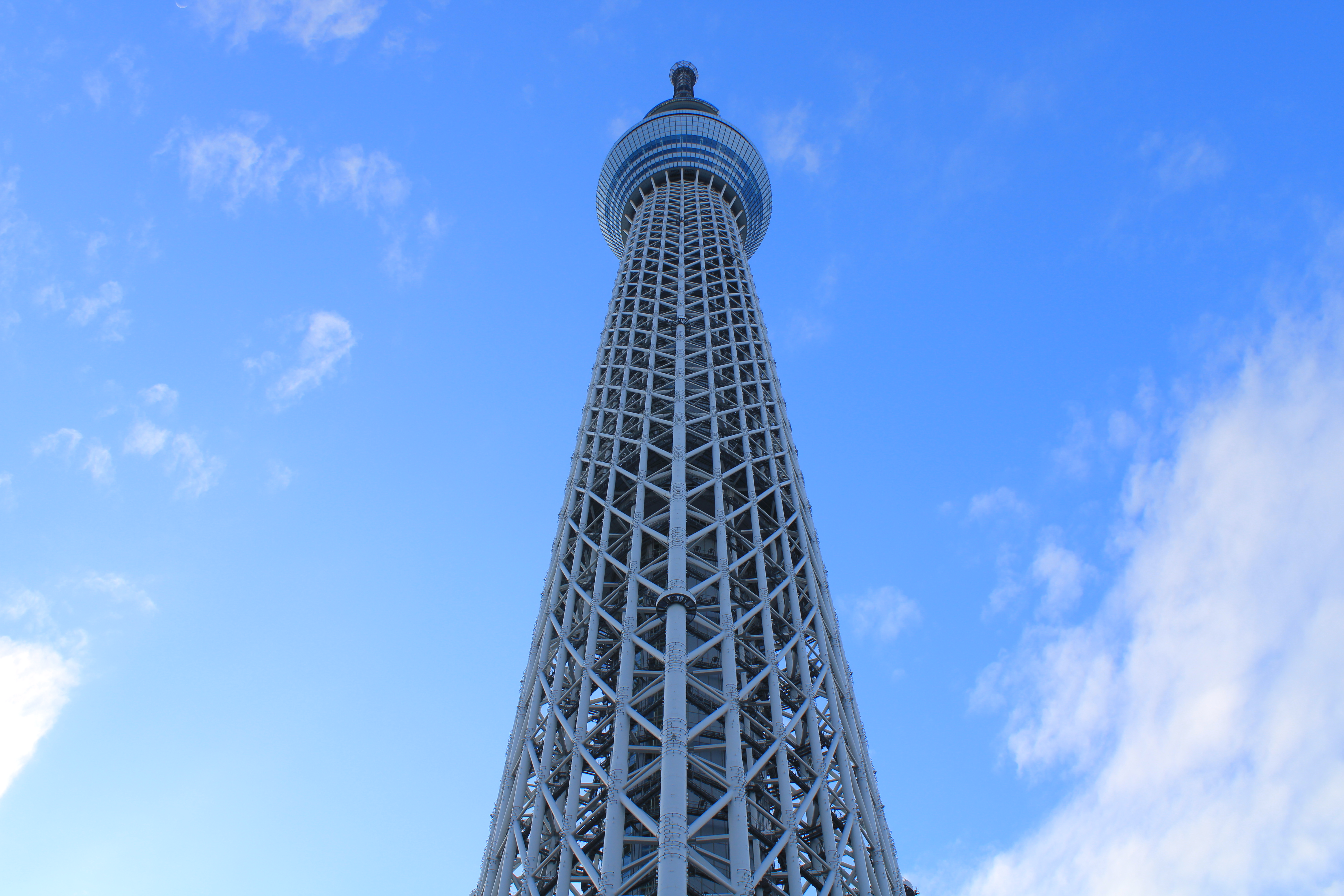 EOS Kiss X90 / EF-S18-55mm F3.5-5.6 IS II / 1/100秒 / F8 / +0.7EV / ISO 100 / 絞り優先AE / 18mm