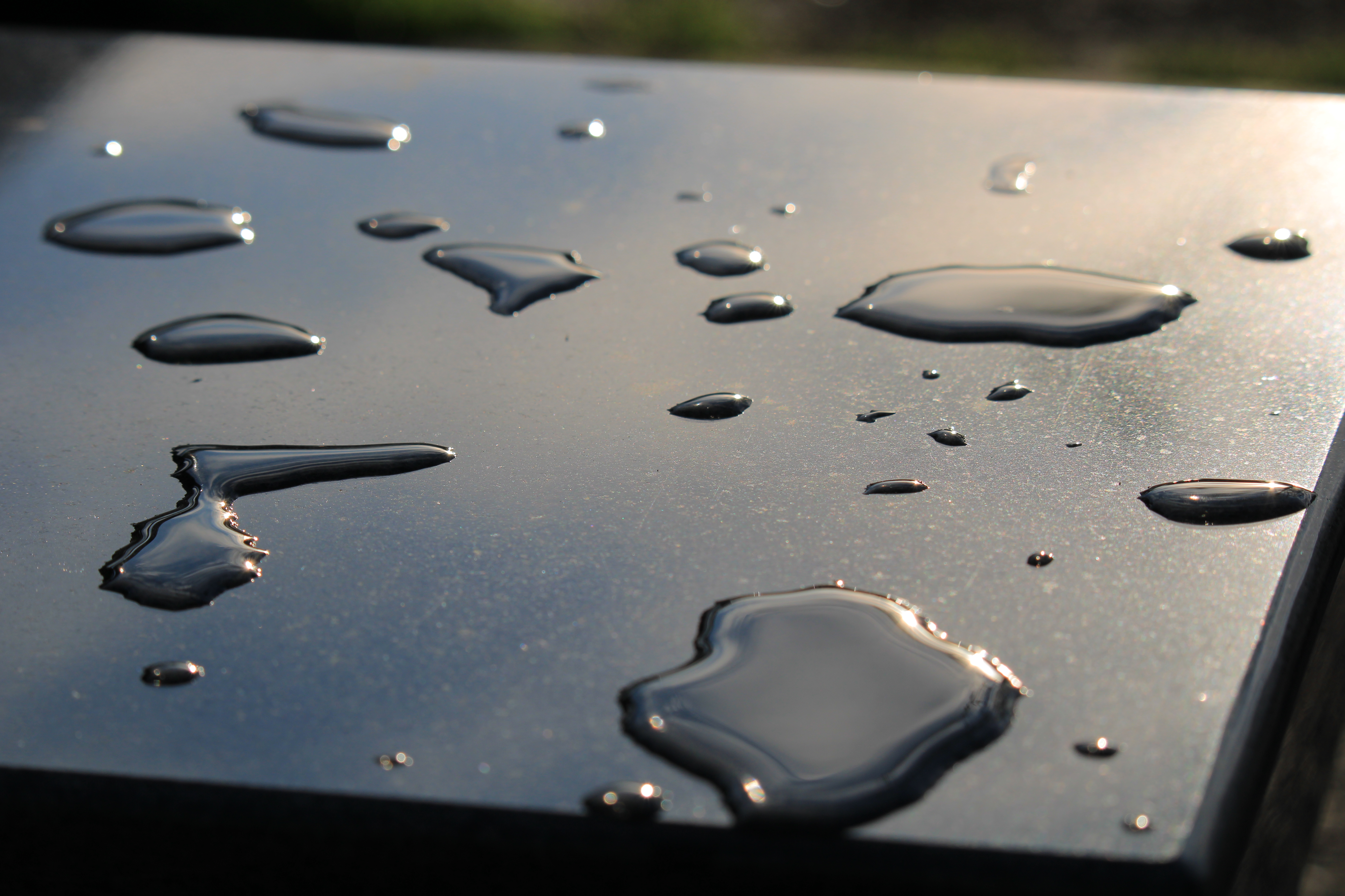 EOS Kiss X90 / EF-S55-250mm F4-5.6 IS STM / 1/1,000秒 / F8 / 0EV / ISO 100 / 絞り優先AE / 100mm