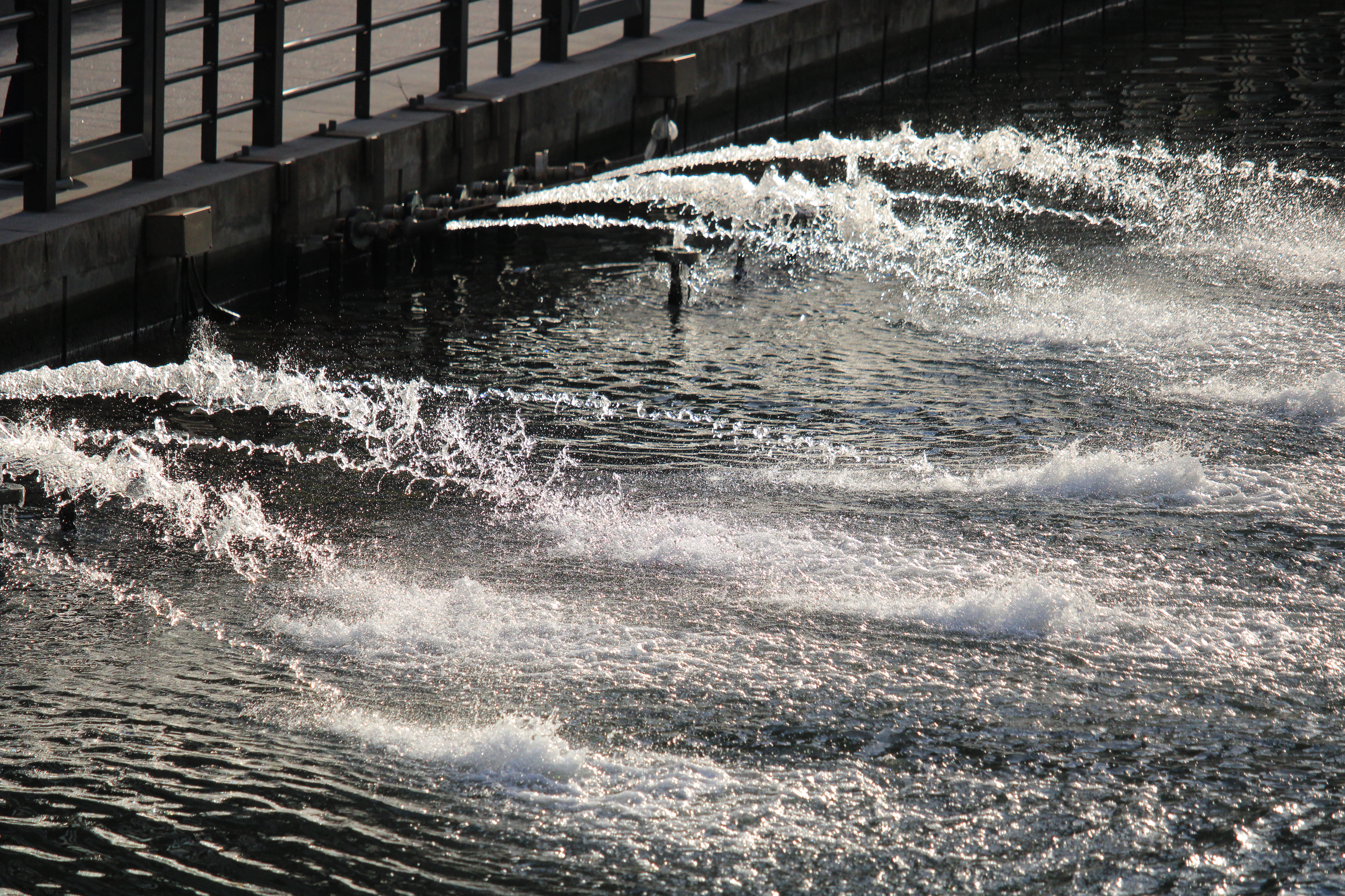 EOS Kiss X90 / EF-S55-250mm F4-5.6 IS STM / 1/4,000秒 / F5.6 / +0.7EV / ISO 800 / Shutter Priority / 163mm