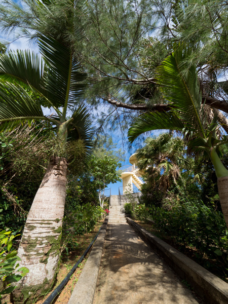 OLYMPUS OM-D E-M1 Mark II / M.ZUIKO DIGITAL ED 7-14mm F2.8 PRO  / 1/800秒 / F5.6 / -0.7EV / ISO 200 / 絞り優先AE / 7mm