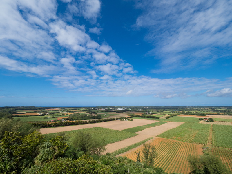 OLYMPUS OM-D E-M1 Mark II / M.ZUIKO DIGITAL ED 7-14mm F2.8 PRO  / 1/640秒 / F8 / +0.3EV / ISO 200 / 絞り優先AE / 7mm