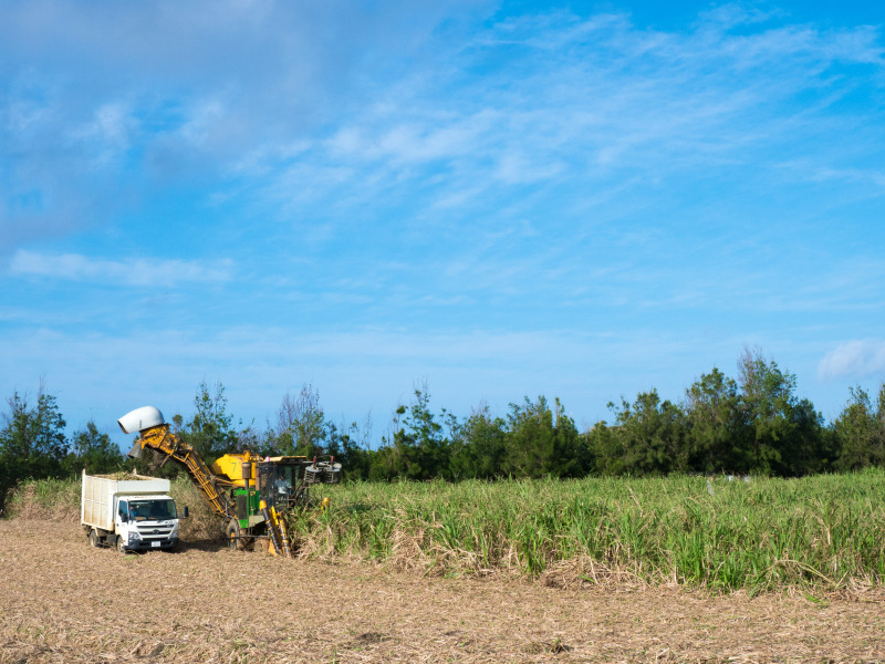 OLYMPUS OM-D E-M1 Mark II / M.ZUIKO DIGITAL ED 7-14mm F2.8 PRO  / 1/1250秒 / F8 / +0.3EV / ISO 400 / 絞り優先AE / 31mm