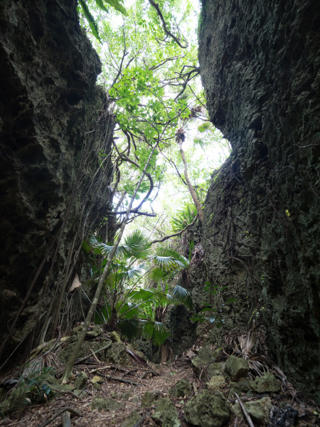OLYMPUS OM-D E-M1 Mark II / M.ZUIKO DIGITAL ED 7-14mm F2.8 PRO  / 1/15秒 / F4 / +0.7EV / ISO 400 / 絞り優先AE / 7mm