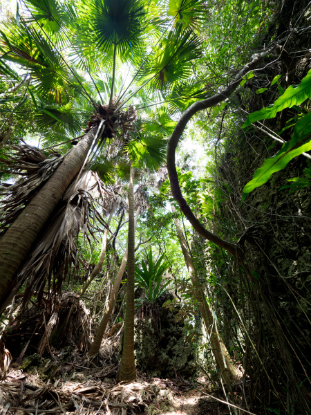 OLYMPUS OM-D E-M1 Mark II / M.ZUIKO DIGITAL ED 7-14mm F2.8 PRO  / 1/50秒 / F4 / +0.3EV / ISO 400 / 絞り優先AE / 7mm