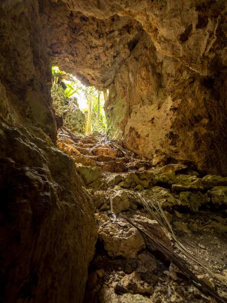 OLYMPUS OM-D E-M1 Mark II / M.ZUIKO DIGITAL ED 7-14mm F2.8 PRO  / 1/5秒 / F4 / -0.7EV / ISO 400 / 絞り優先AE / 7mm