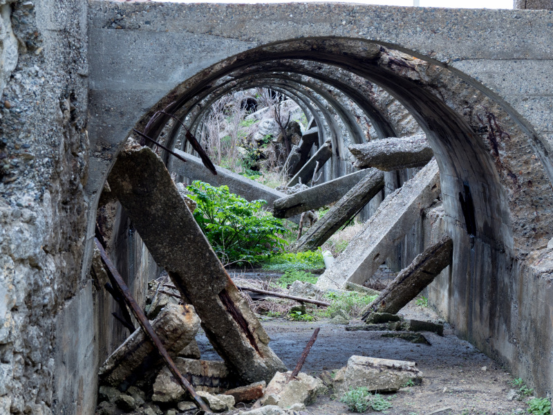 OLYMPUS OM-D E-M1 Mark II / M.ZUIKO DIGITAL ED 12-100mm F4.0 IS PRO  / 1/60秒 / F5.6 / -0.7EV / ISO 200 / 絞り優先AE / 54mm