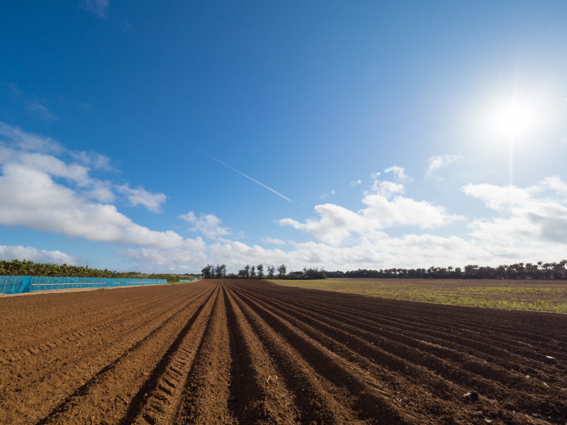 OLYMPUS OM-D E-M1 Mark II / M.ZUIKO DIGITAL ED 7-14mm F2.8 PRO  / 1/1,250秒 / F5.6 / +0.3EV / ISO 200 / 絞り優先AE / 7mm