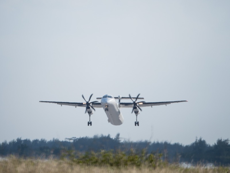 OLYMPUS OM-D E-M1 Mark II / M.ZUIKO DIGITAL ED 75-300mm F4.8-6.7 II  / 1/800秒 / F6.7 / 0EV / ISO 200 / 絞り優先AE / 300mm