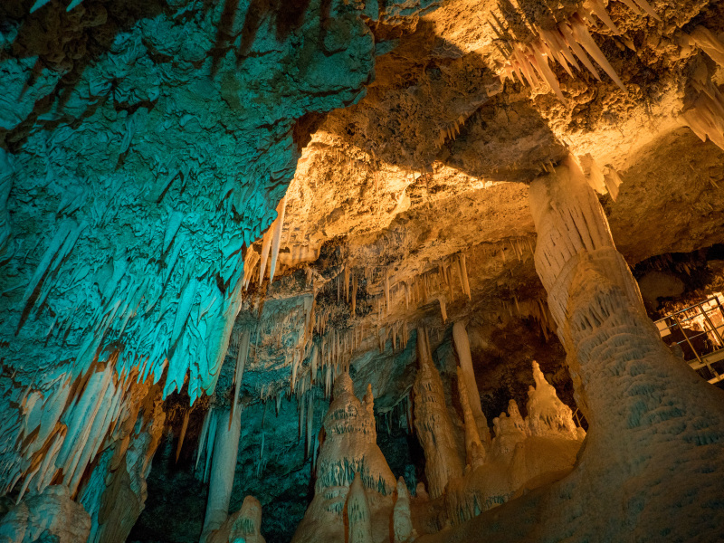 OLYMPUS OM-D E-M1 Mark II / M.ZUIKO DIGITAL ED 12-100mm F4.0 IS PRO  / 1/4秒 / F4 / 0EV / ISO 1600 / 絞り優先AE / 15mm