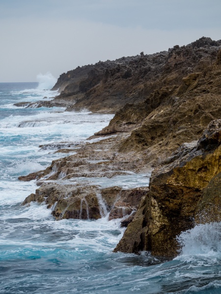 OLYMPUS OM-D E-M1 Mark II / M.ZUIKO DIGITAL ED 75-300mm F4.8-6.7 II  / 1/800秒 / F5.6 / -1EV / ISO 200 / 絞り優先AE / 75mm