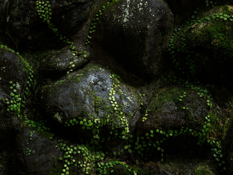 撮影：萩原史郎