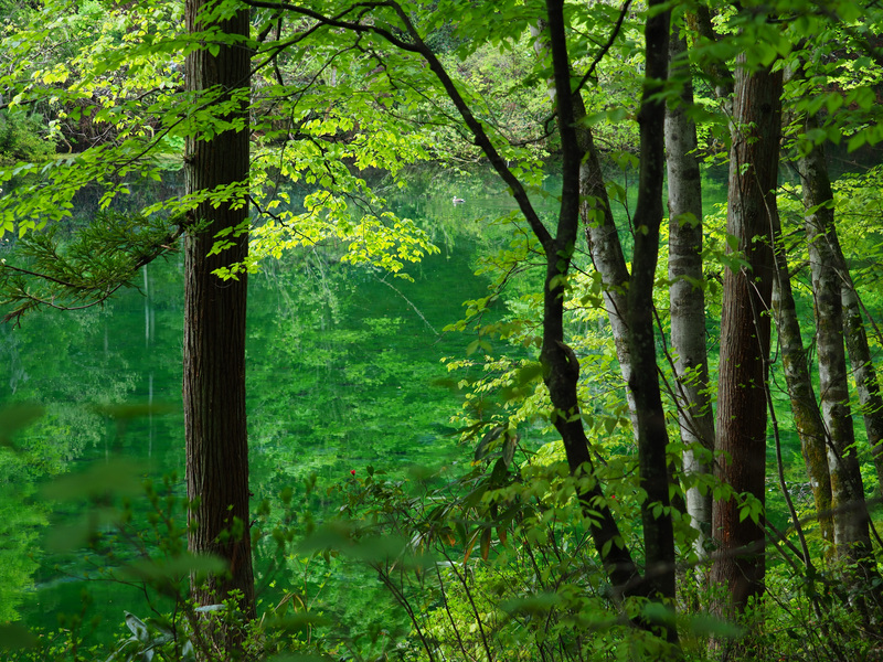 撮影：今浦友喜