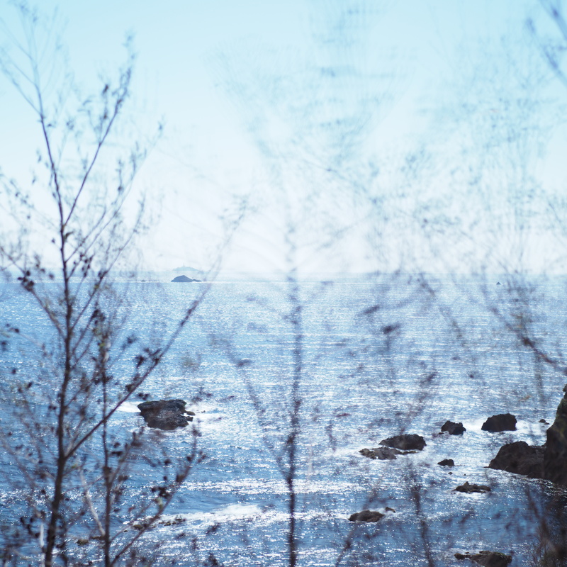 撮影：福田健太郎