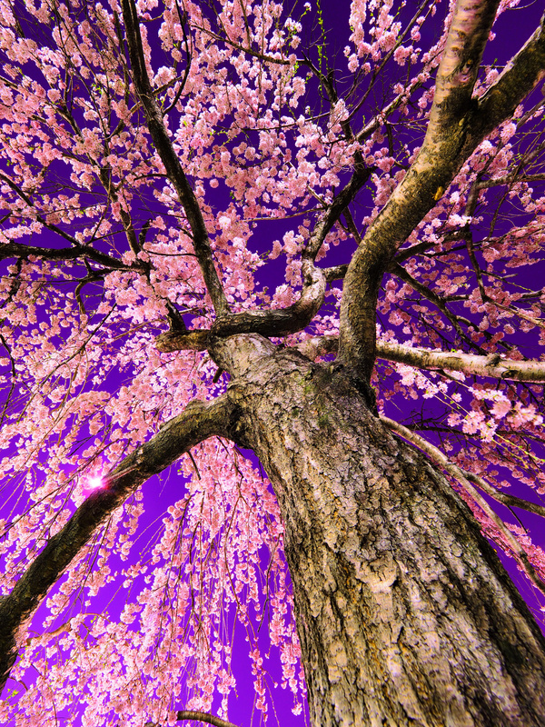 撮影：木村琢磨