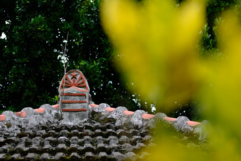 撮影：並木隆<br><span class="fnt-85">X-T20 / XF50mmF2 R WR / 50mm（75mm相当） / プログラム（1/550秒・F2.0・-0.3EV） / ISO200</span>