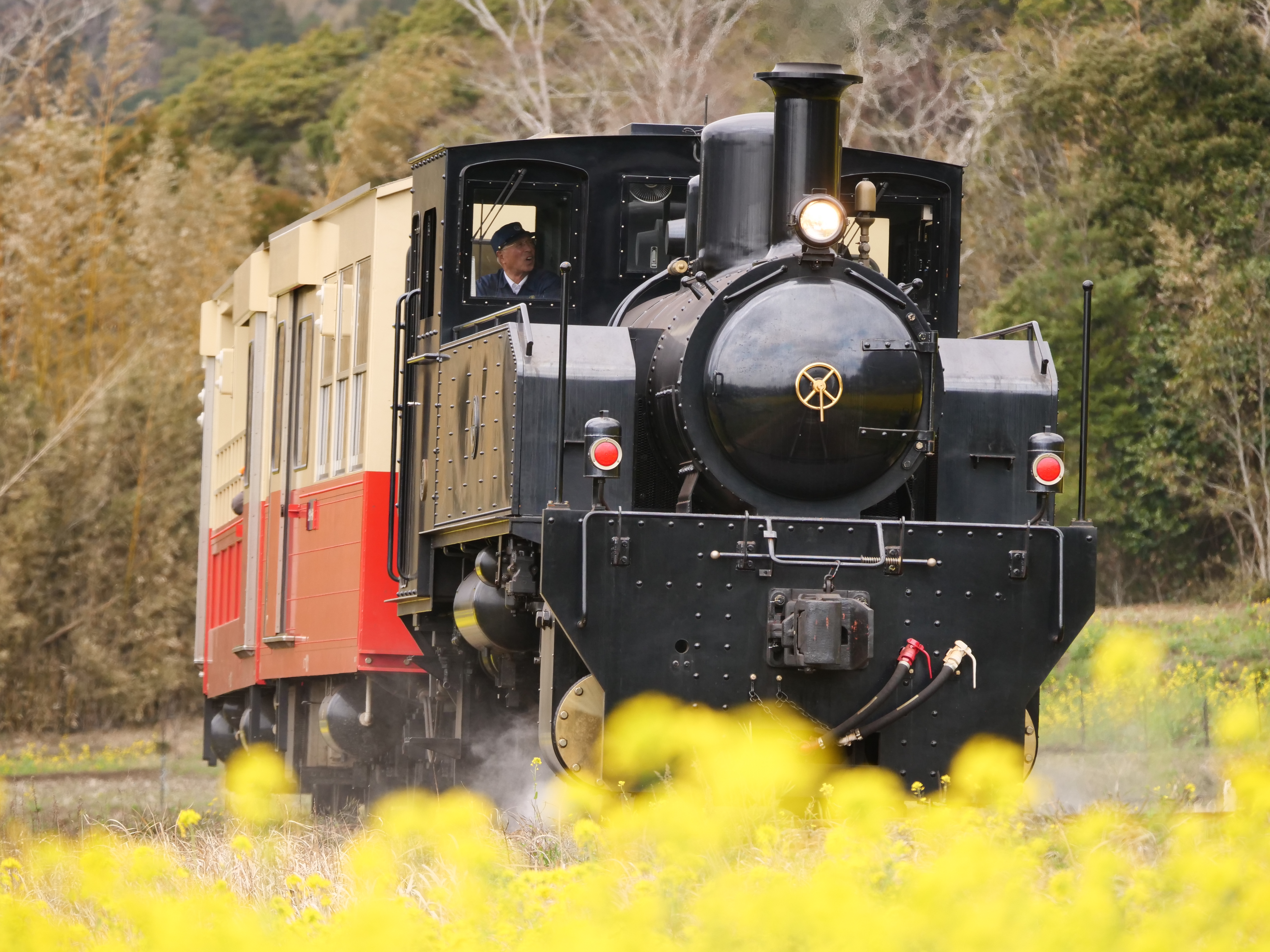 LUMIX G9 PRO / LEICA DG VARIO-ELMAR 100-400mm F4.0-6.3 ASPH. POWER O.I.S. / 224mm（448mm相当） / 絞り優先AE（F5.2・1/1,000秒・+0.3EV） / ISO 640