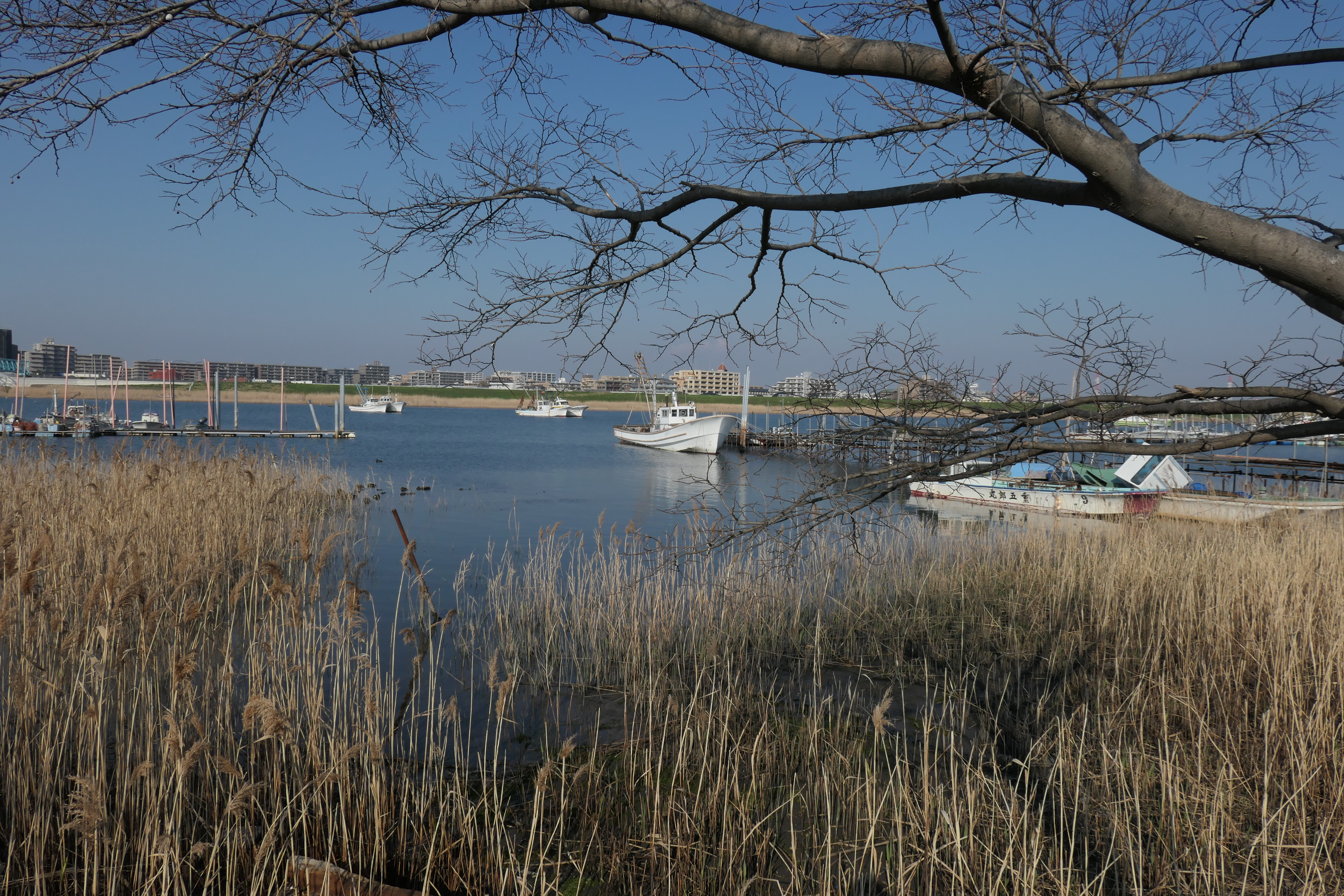 LUMIX TX2 / 1/640秒 / F8 / -0.7EV / ISO 125 / 絞り優先AE