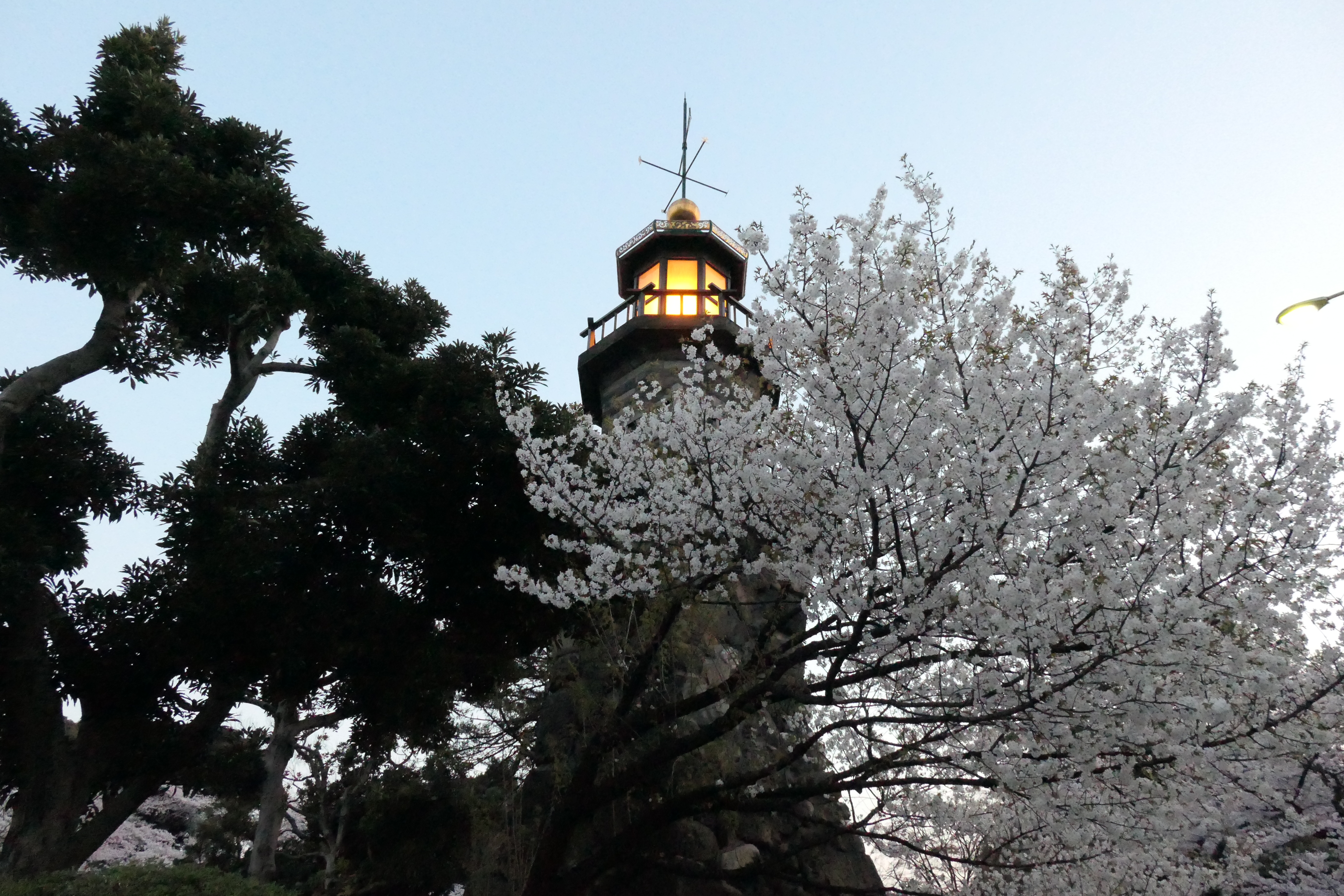 LUMIX TX2 / 1/400秒 / F5 / +0.7EV / ISO 6400 / 絞り優先AE