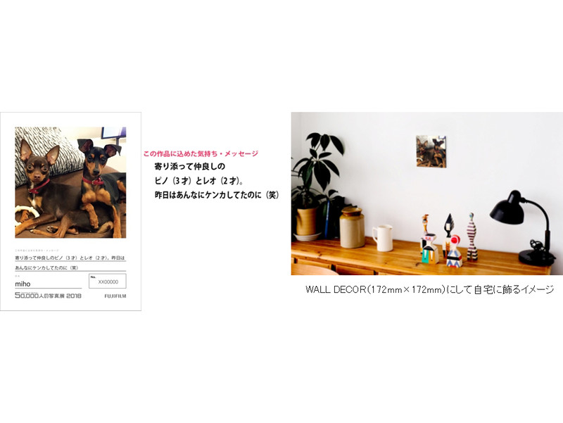 「お気に入りの1枚」部門イメージ