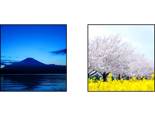 「インスタグラム」部門 テーマ「日本の風景」イメージ