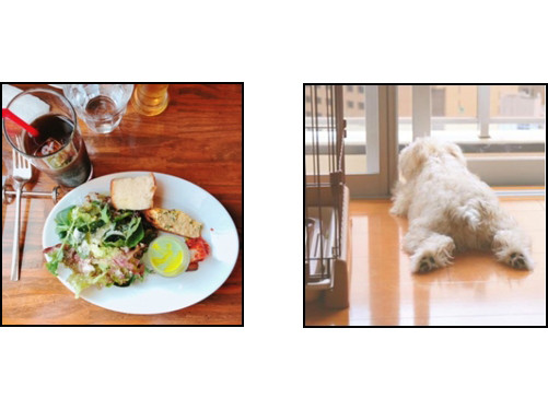 「インスタグラム」部門 テーマ「いつものこと」イメージ