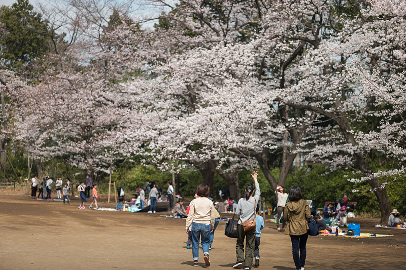 標準レンズ的にも使えるけれど、深度は50mmより浅いのでメリハリが付けられる。ライカSL / ISO100 / F2 / 1/4,000秒 /  WB:晴天