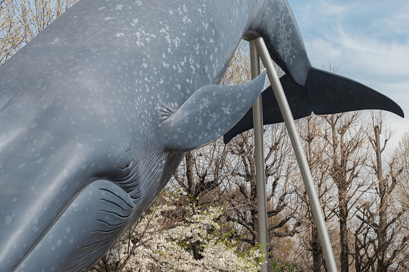 描写傾向はAPOズミクロン90mmと同じくヌケがよく、ピントのキレも素晴らしい。ライカSL / ISO100 / F5.6 / 1/640秒 / WB:オート