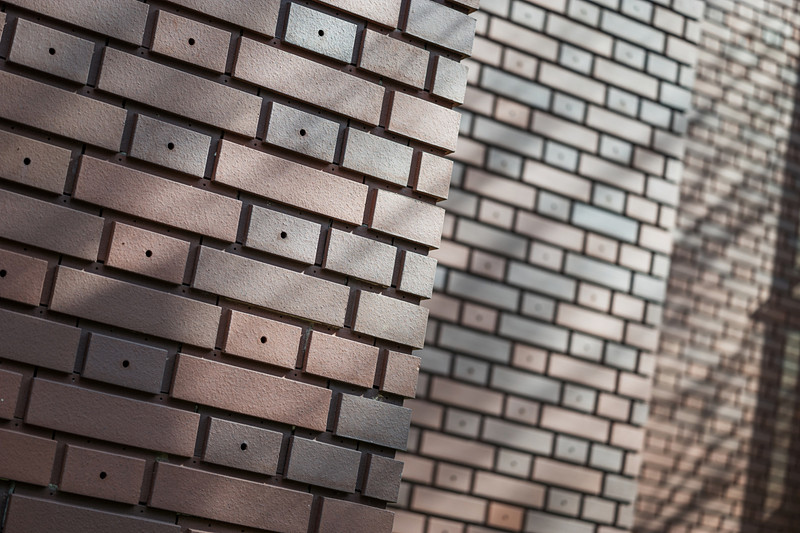 75mmは画角的に構成的なフレーミングがやりやすいように感じた。ライカSL / ISO100 / F2.2 / 1/640秒 / WB:オート