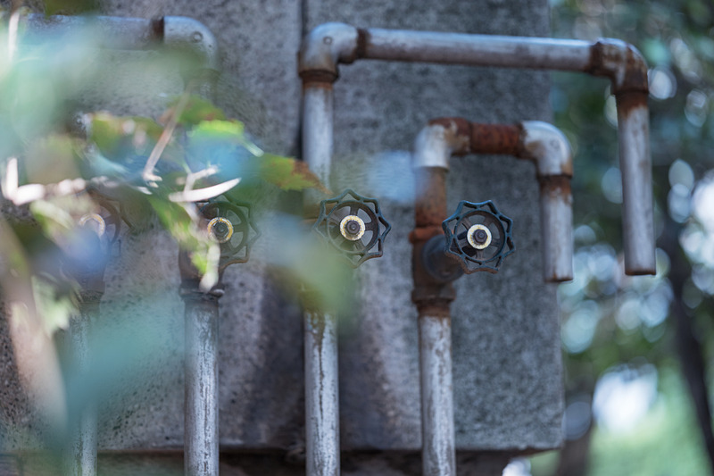 口径食は少しだけある。光点ボケの様子もAPOズミクロン90mmによく似た感じだ。ライカSL / ISO200 / F2 / 1/160秒 / WB:4,000K