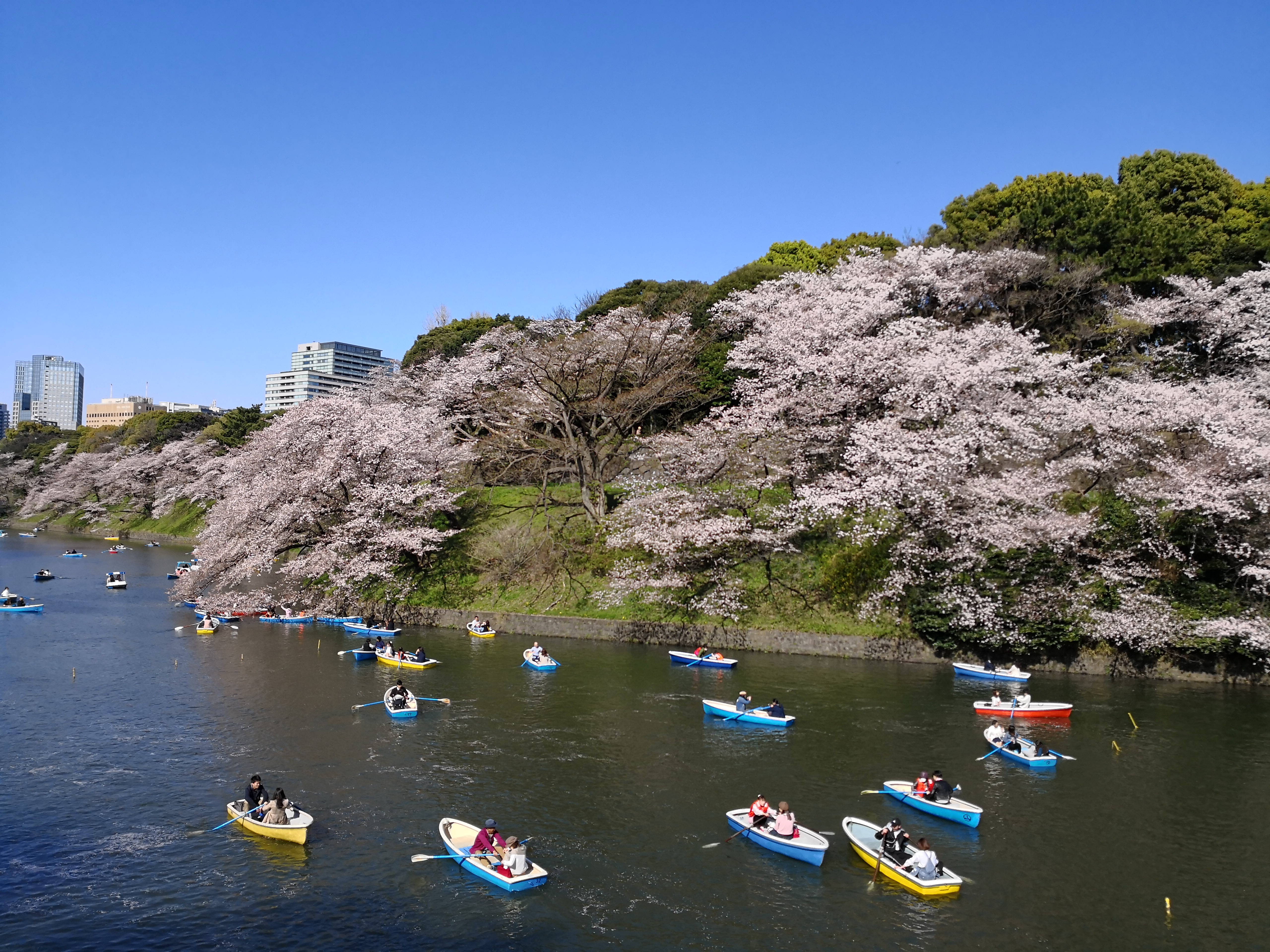 HUAWEI Mate 10 Pro / 27mm相当 / F1.6 / 1/2,300秒 / ±0.0EV / ISO 50