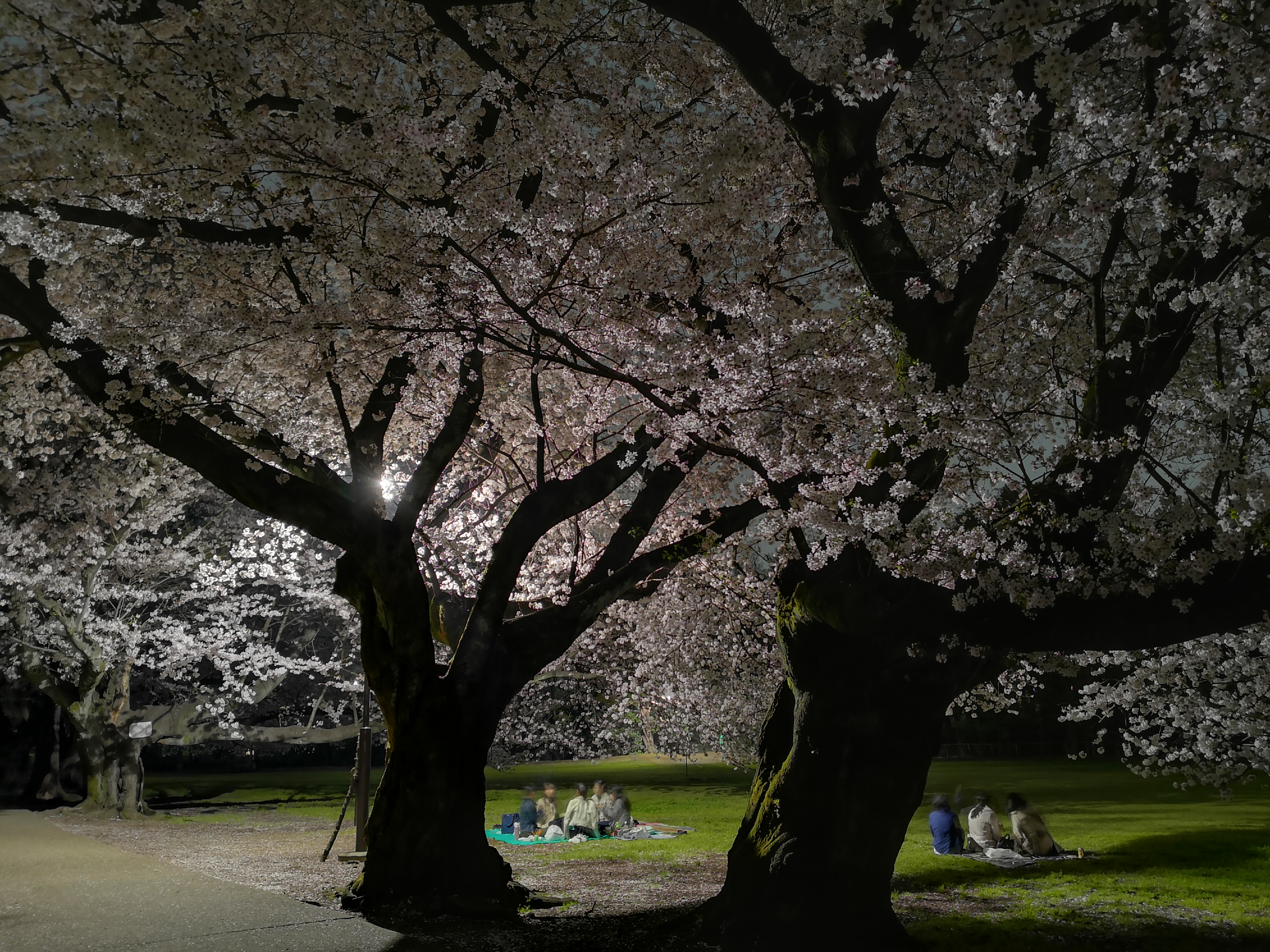 HUAWEI Mate 10 Pro / 27mm相当 / F1.6 / 17秒 / ±0.0EV / ISO 100