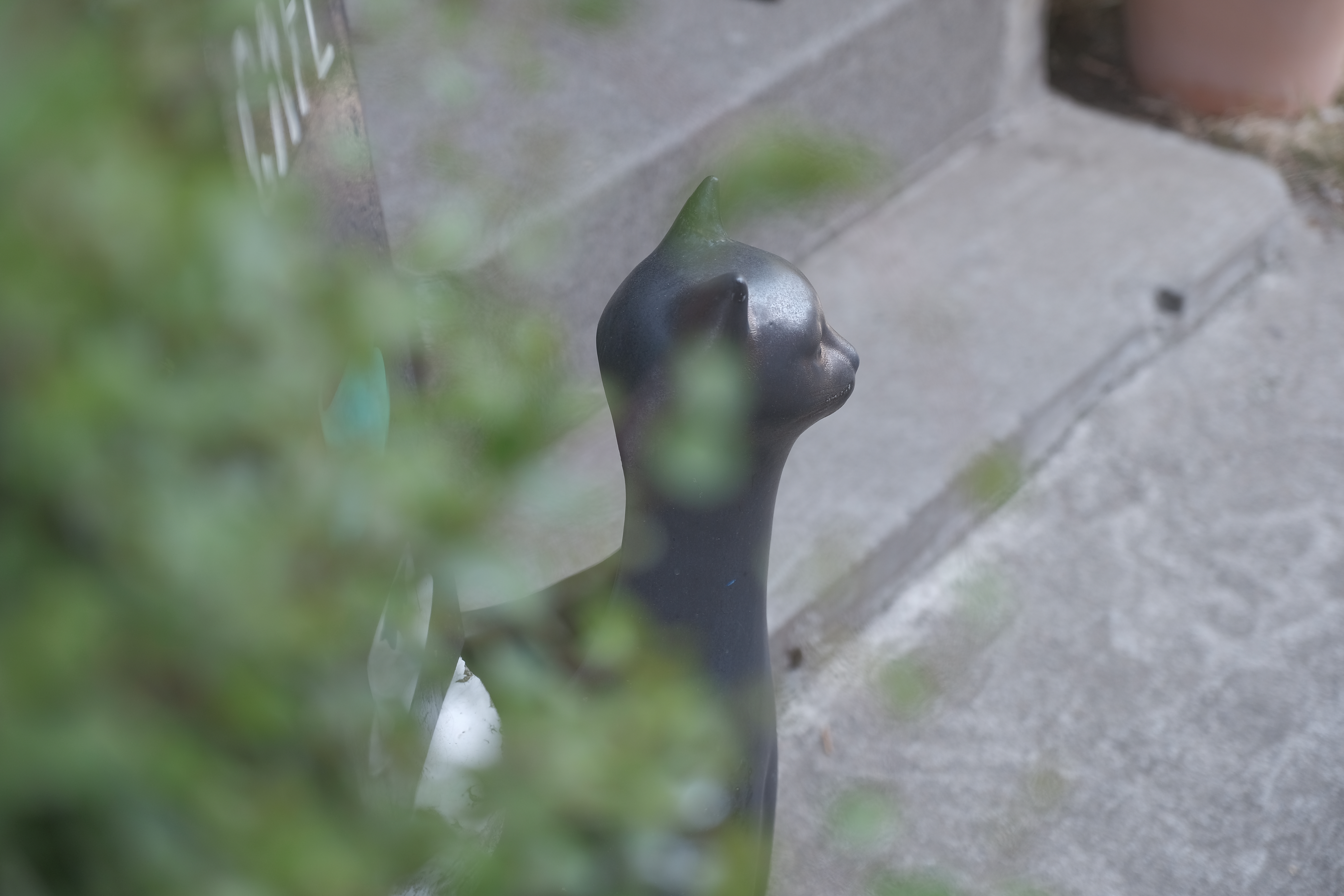 FUJIFILM X-H1 / XF16-55mmF2.8 R LM WR / 1/160秒 / F2.8 / +0.3EV / ISO 200 / プログラム / 55mm / ETERNA