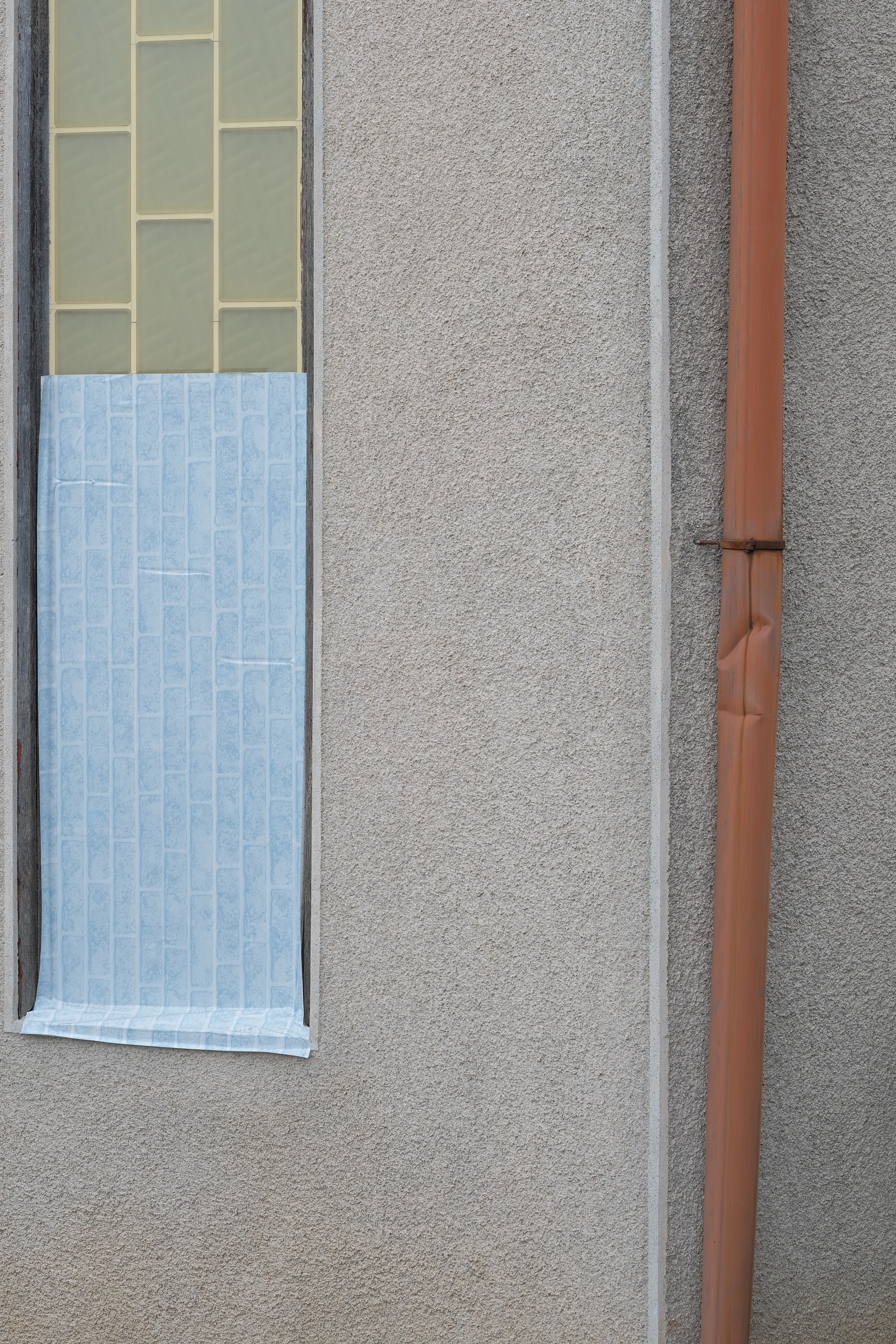 FUJIFILM X-H1 / XF56mmF1.2 R / 1/180秒 / F5.6 / +0.3EV / ISO 200 / 絞り優先AE / 56mm / PROVIA