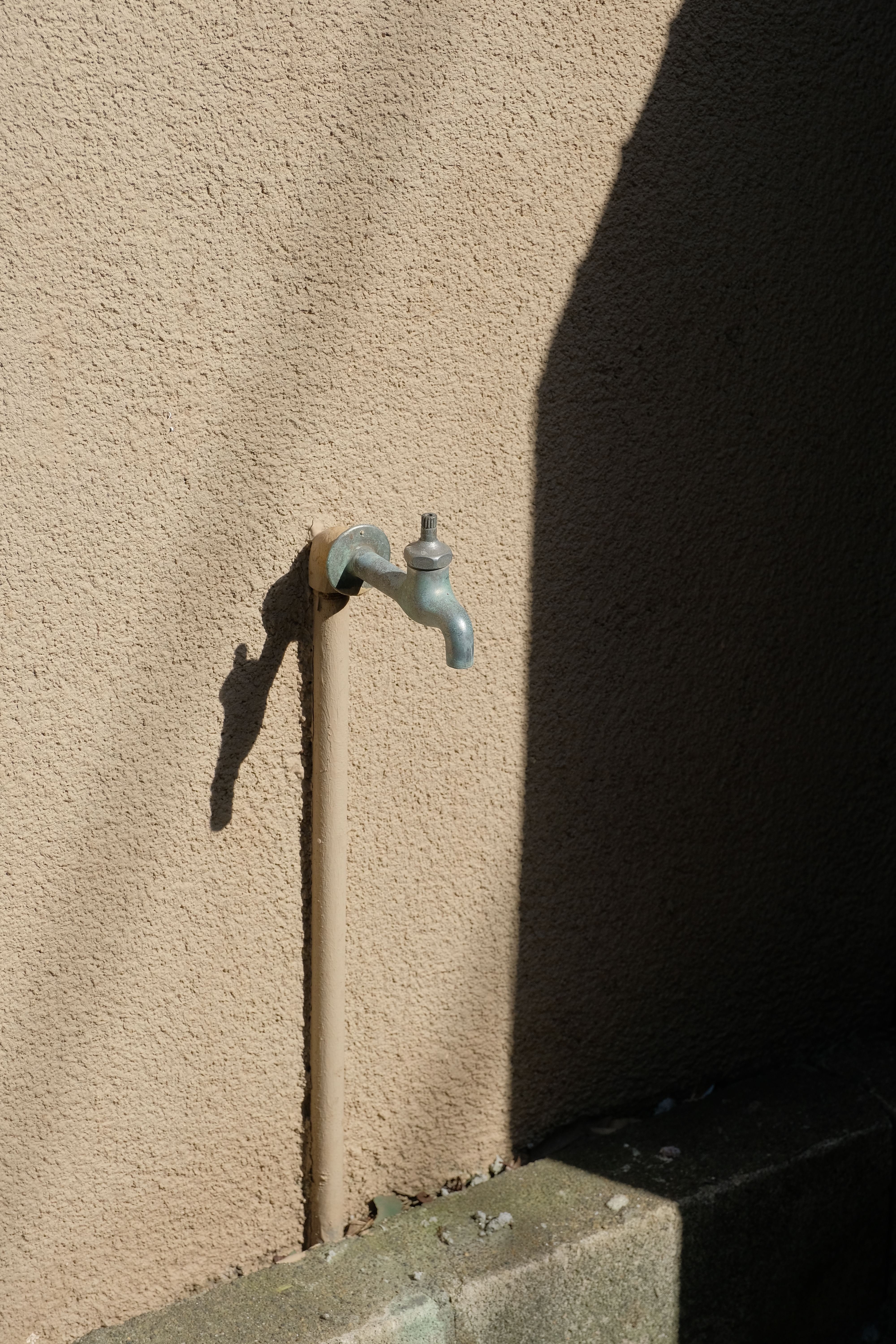 FUJIFILM X-H1 / XF16-55mmF2.8 R LM WR / 1/1,300秒 / F5.6 / 0EV / ISO 400 / プログラム / 55mm / PROVIA