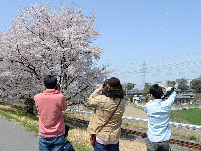 桜と電車を絡めた構図に挑戦。車両が暗くなりそうな時は「アクティブD-ライティング」が有効とのアドバイスも。