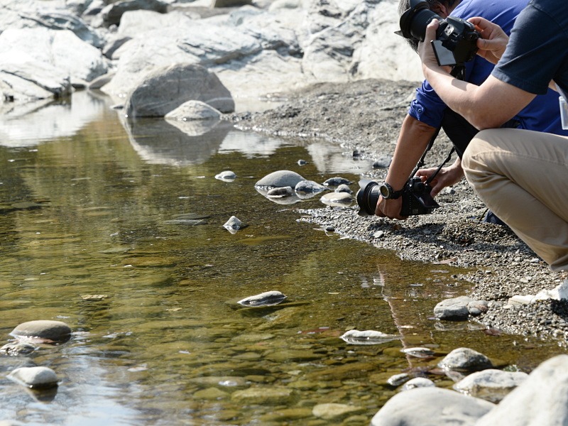 こういったシーンでは、チルト式モニターが羨ましい。