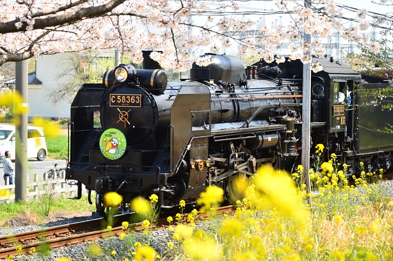 連写で保険をかけるのは難しいと判断して一枚入魂でシャッターを切ったが、ヘッドライトに木の枝が重なってしまった。冷静になってから見ると、電柱や架線柱も気になる。