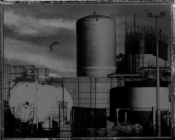 イベントレポート】サラ ムーン写真展「D'un jour à l'autre 巡りゆく