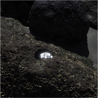 撮影：福田健太郎