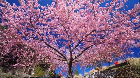 撮影：福田健太郎