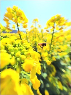 撮影：木村琢磨