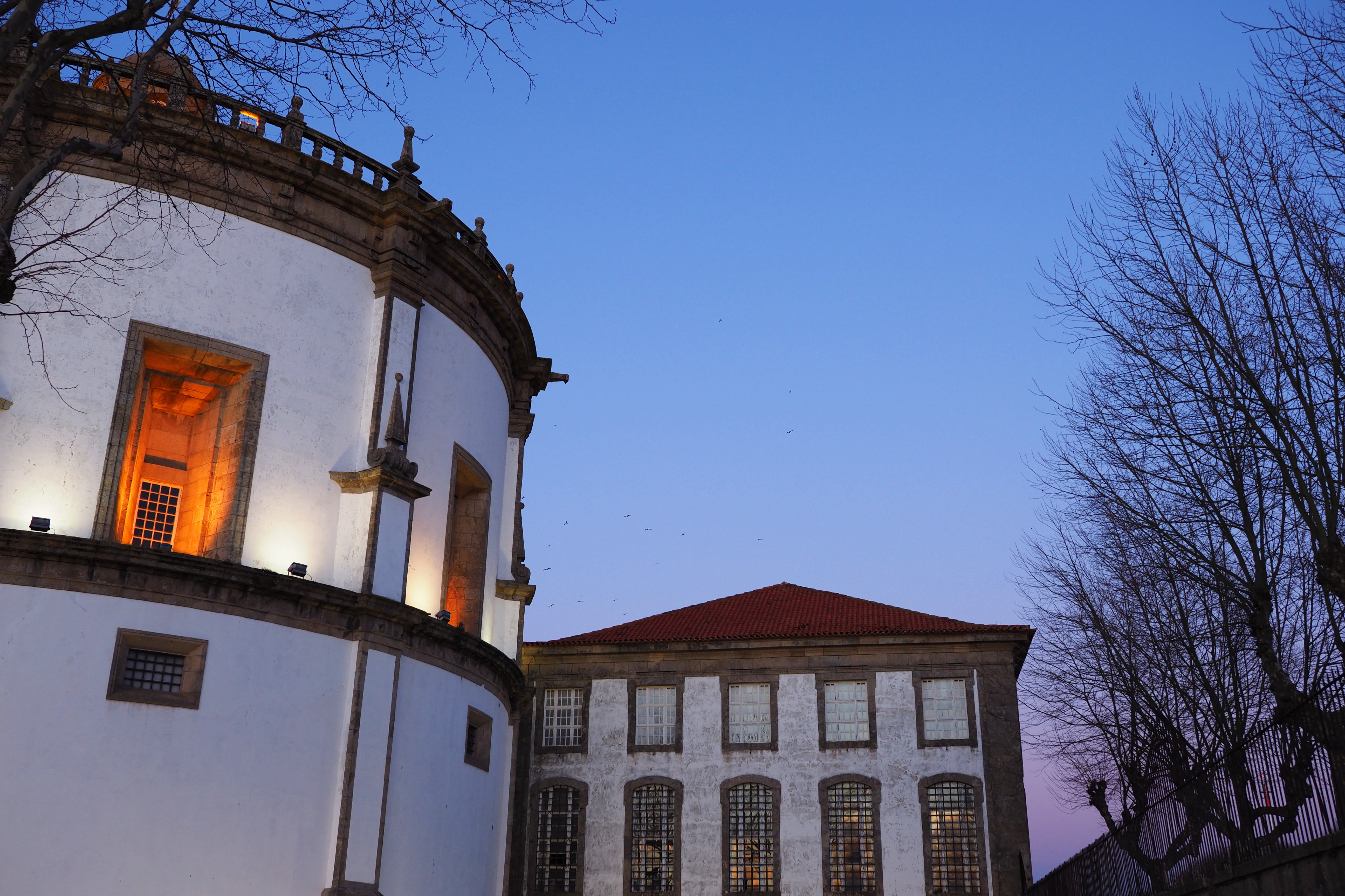 OLYMPUS OM-D E-M1 Mark II / M.ZUIKO DIGITAL ED 17mm F1.2 PRO / 1/125秒 / F2.5 / 0EV / ISO 200 / 絞り優先AE / 17mm（34mm相当）