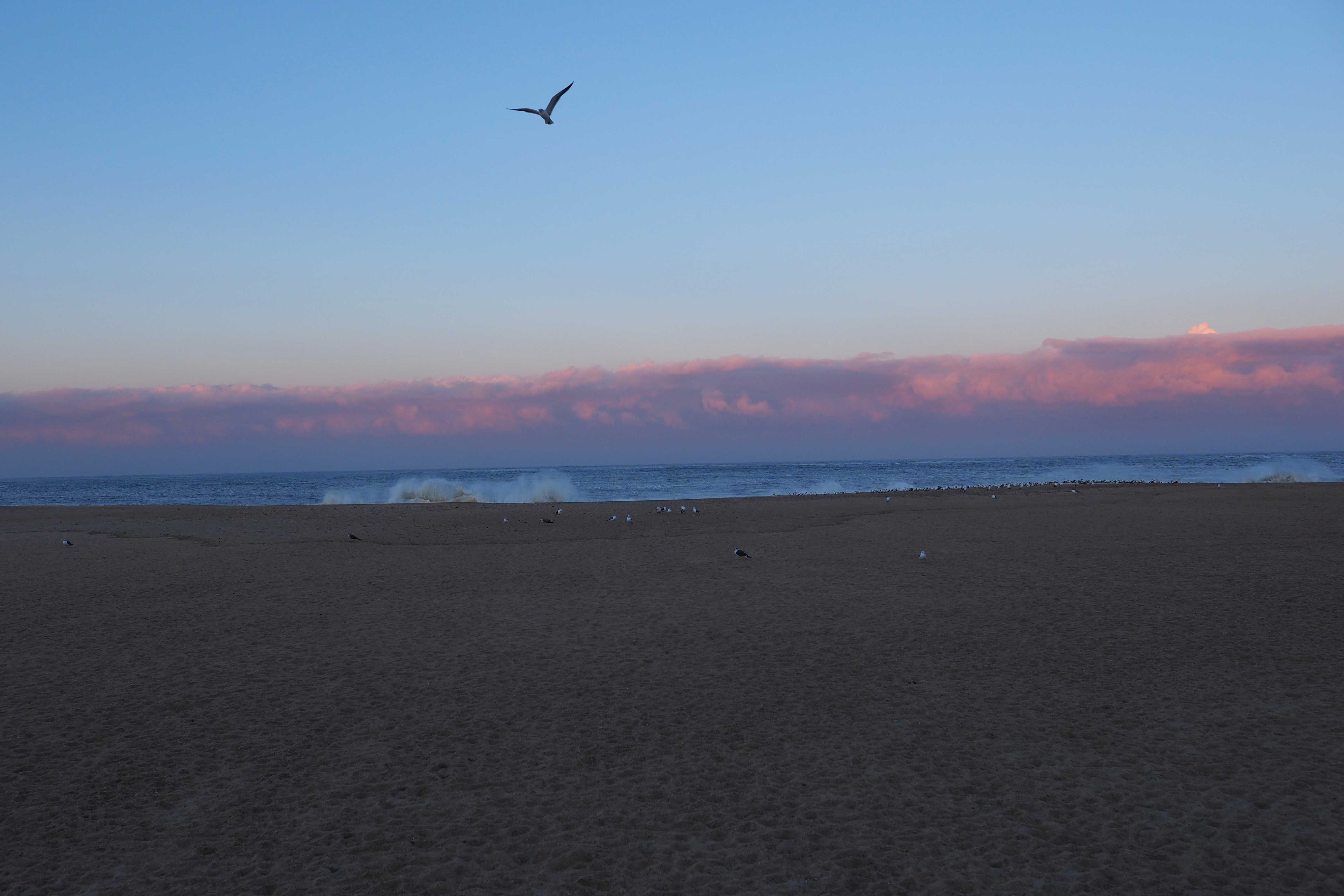 OLYMPUS OM-D E-M1 Mark II / M.ZUIKO DIGITAL ED 17mm F1.2 PRO / 1/350秒 / F3.5 / -0.5EV / ISO 200 / 絞り優先AE / 17mm（34mm相当）