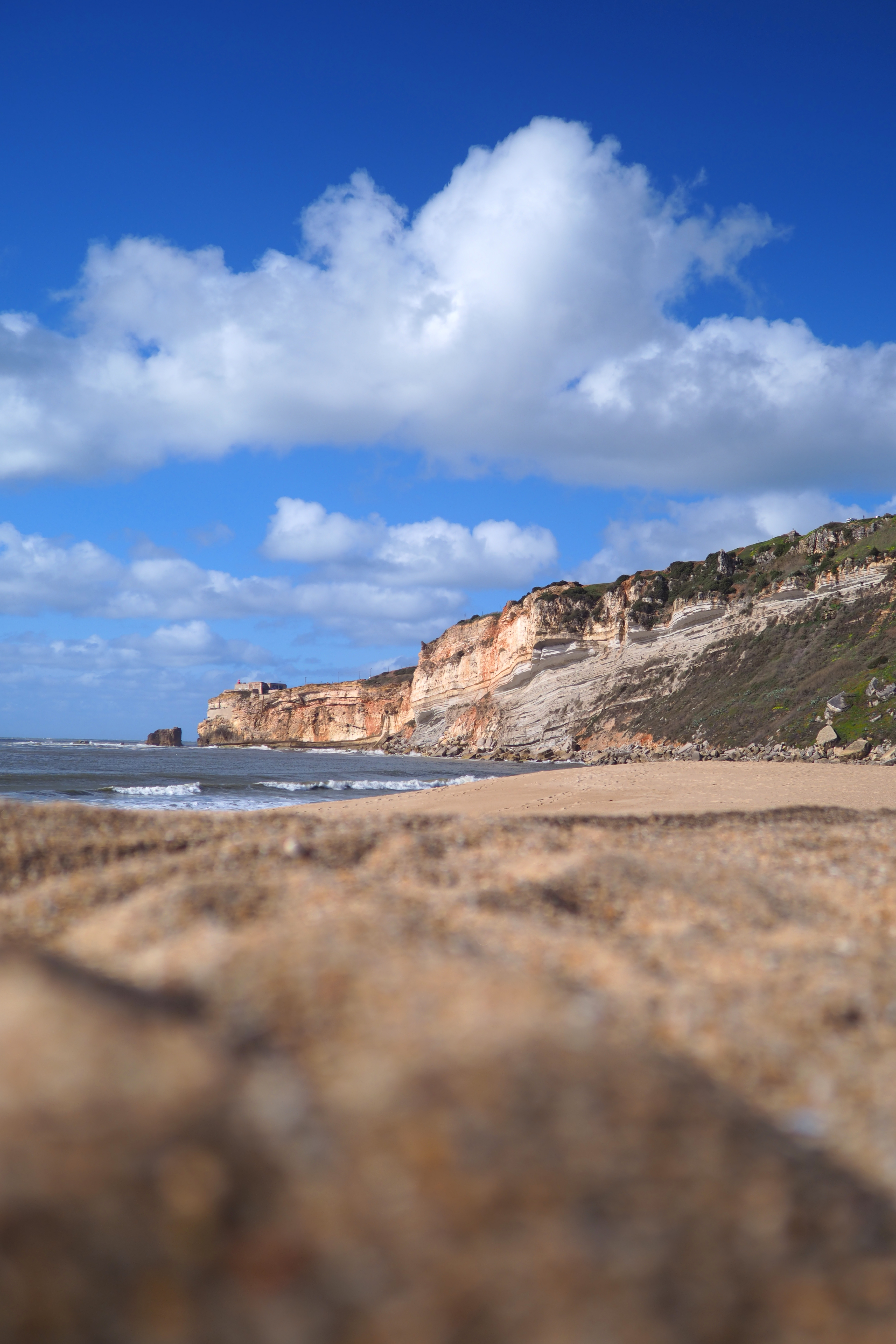 OLYMPUS OM-D E-M1 Mark II / M.ZUIKO DIGITAL ED 17mm F1.2 PRO / 1/8,000秒 / F1.2 / 0EV / ISO 64 / 絞り優先AE / 17mm（34mm相当）
