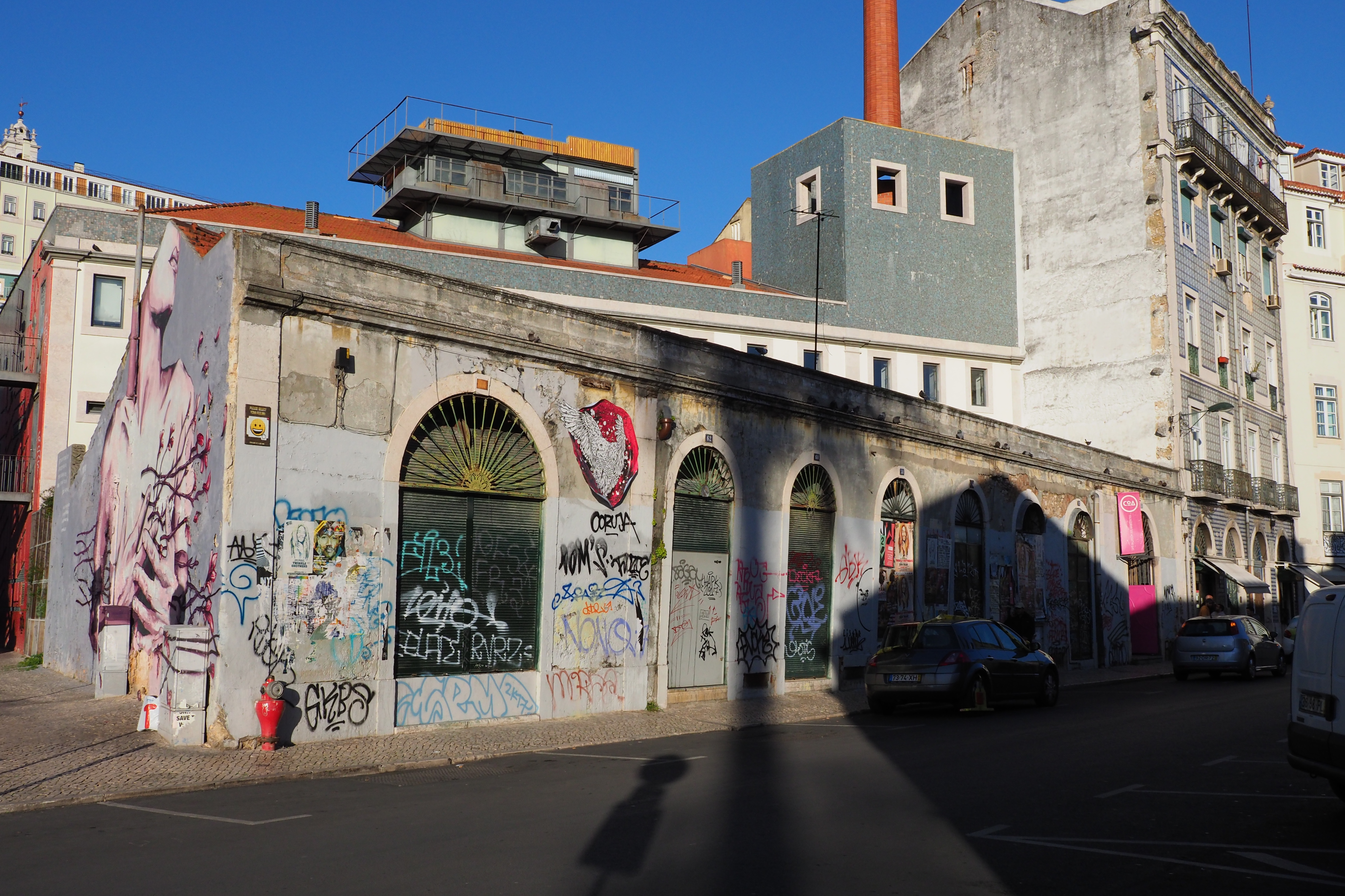 OLYMPUS OM-D E-M1 Mark II / M.ZUIKO DIGITAL ED 17mm F1.2 PRO / 1/500秒 / F11 / 0EV / ISO 400 / 絞り優先AE / 17mm（34mm相当）