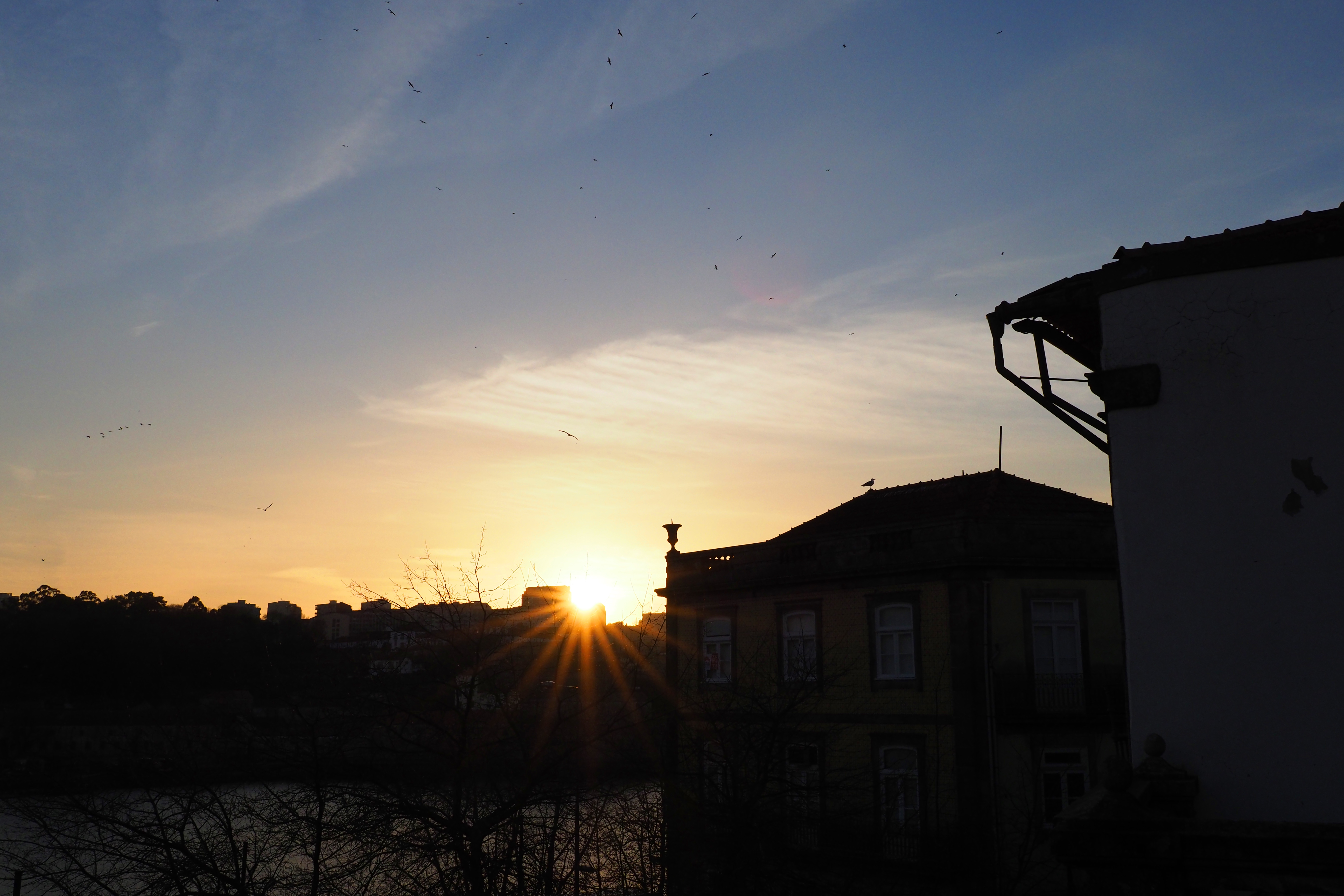 OLYMPUS OM-D E-M1 Mark II / M.ZUIKO DIGITAL ED 17mm F1.2 PRO / 1/1,500秒 / F8 / -0.5EV / ISO 400 / 絞り優先AE / 17mm（34mm相当）