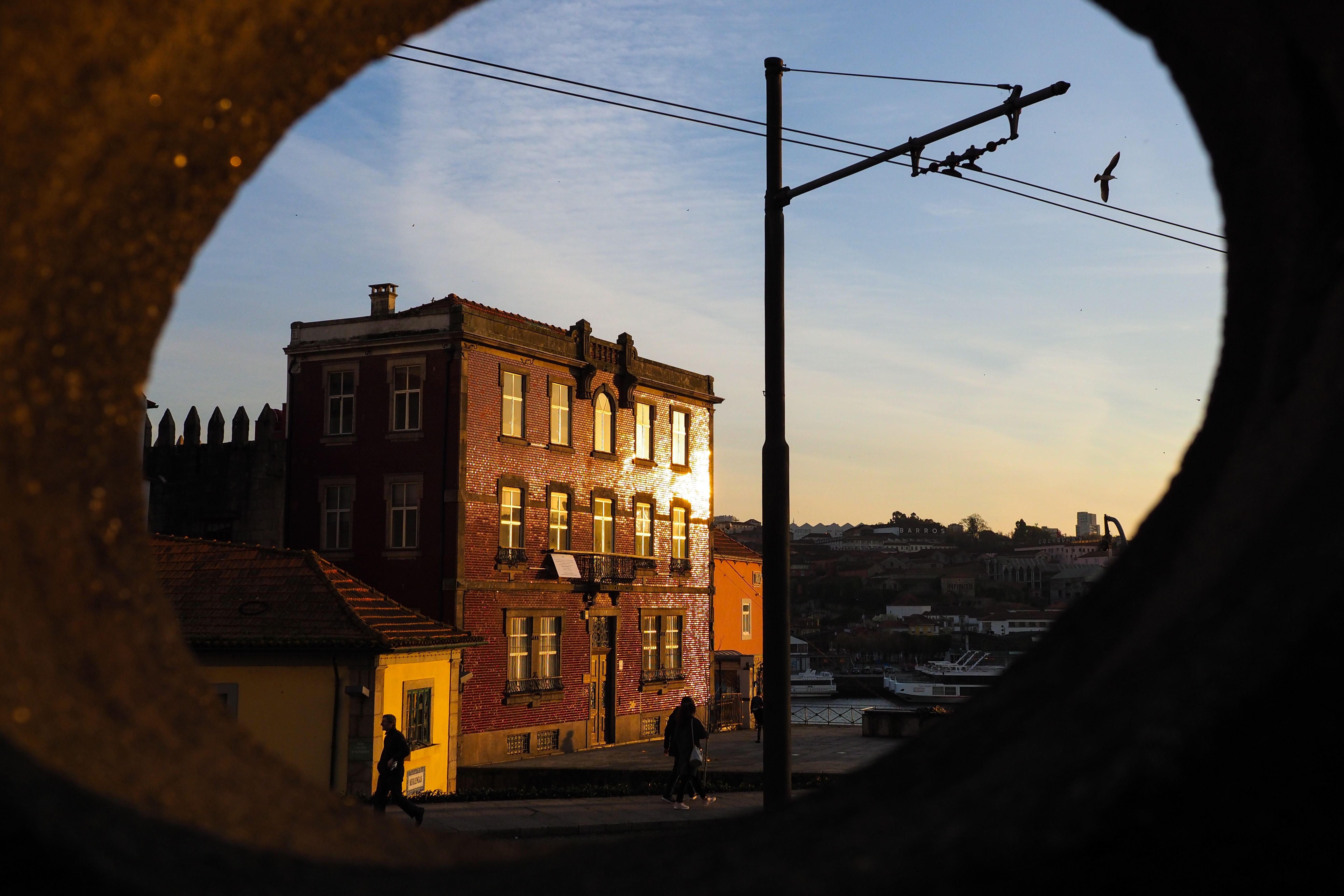 OLYMPUS OM-D E-M1 Mark II / M.ZUIKO DIGITAL ED 17mm F1.2 PRO / 1/1,500秒 / F4 / -0.5EV / ISO 400 / 絞り優先AE / 17mm（34mm相当）