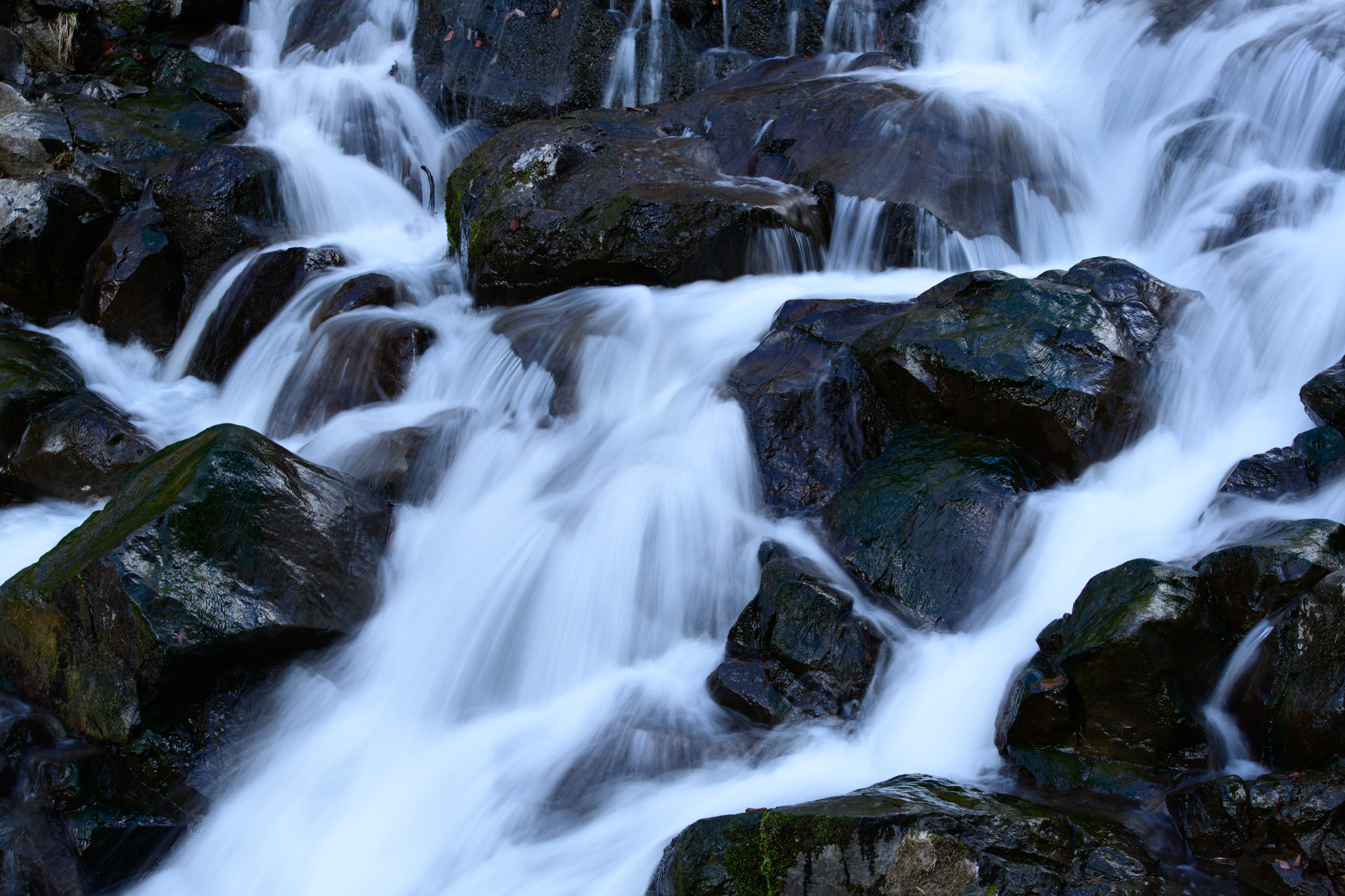 D850 / 70-210mm F/4 Di VC USD / 1/4秒 / F13 / -0.3EV / ISO 32 / シャッター優先AE / 70mm